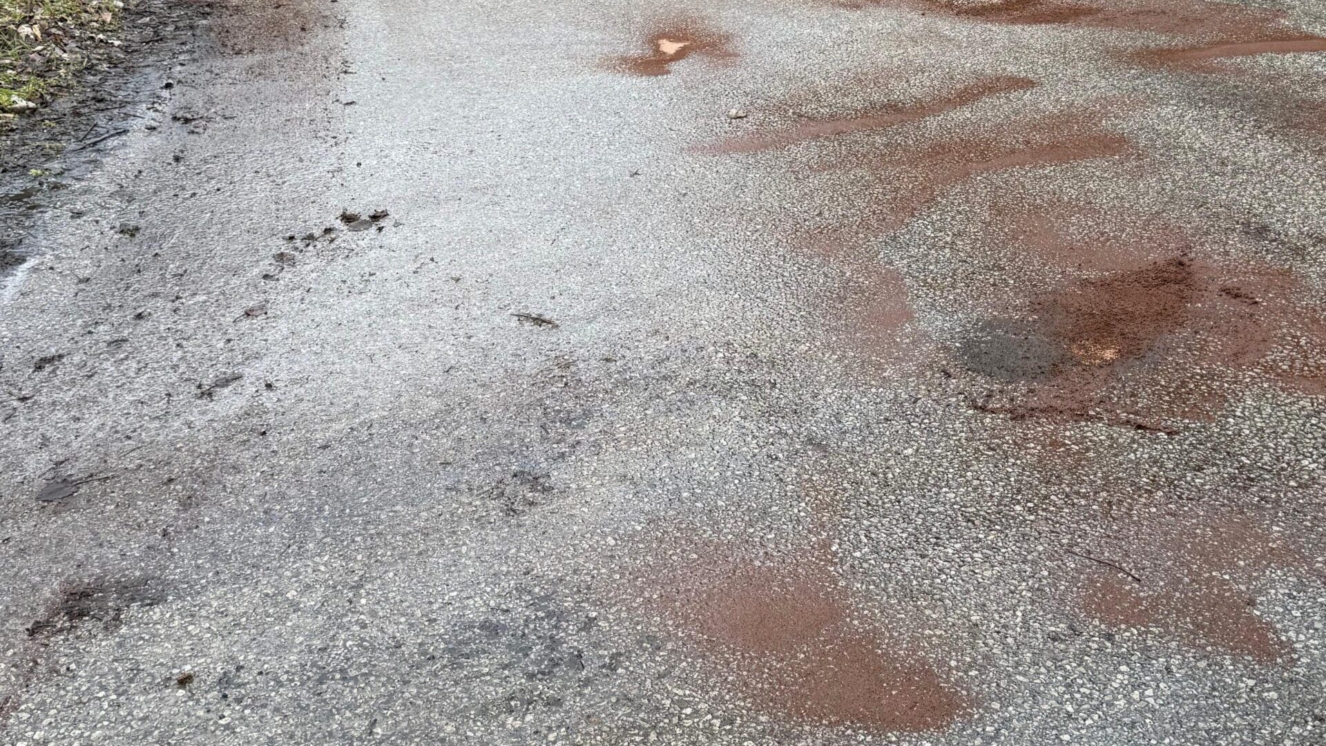 e07f5fca-36c1-49bc-b35e-a4b936a07506